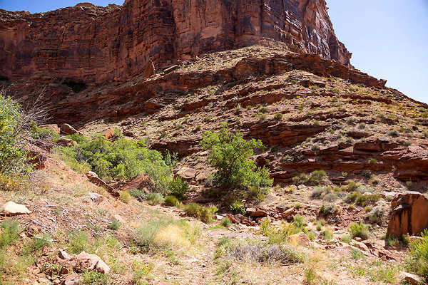 Moab Mile Marker 5 Lot-28