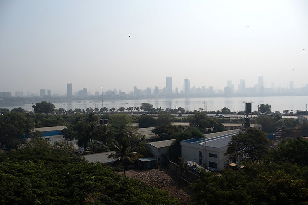 MUMBAI DIRECTOR SCOUT DAY 2-14