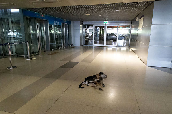 AIRPORT LINK MAKKASAN-3704