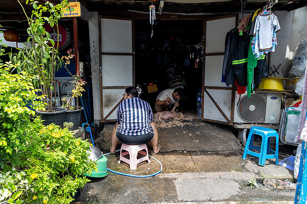 PHRA PRADAENG RIVERSIDE-3501