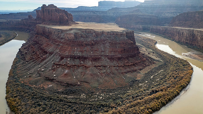 FOSSIL POINT GOOSE NECK DRONE-2