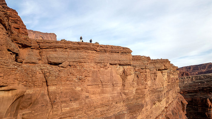 FOSSIL POINT GOOSE NECK DRONE-24