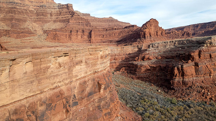 FOSSIL POINT GOOSE NECK DRONE-19