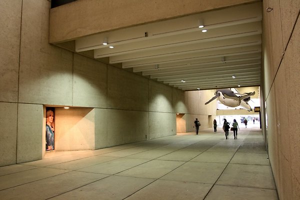 Art Galley &amp; Museum TB - 9