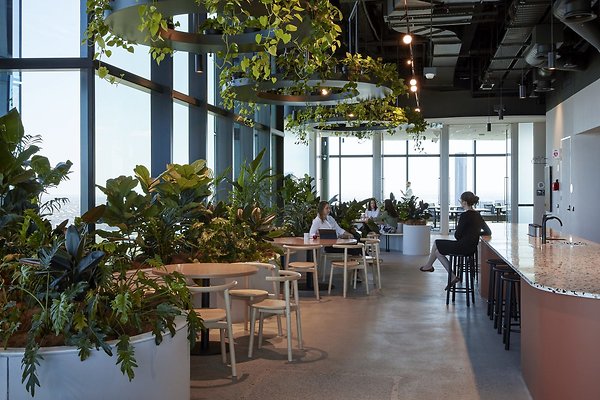 Transurban Workplace, Brisbane