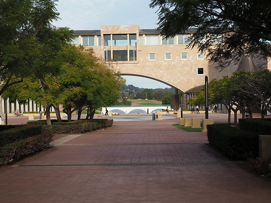 P7250011