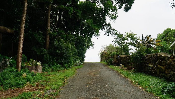 Seaview Retreat91