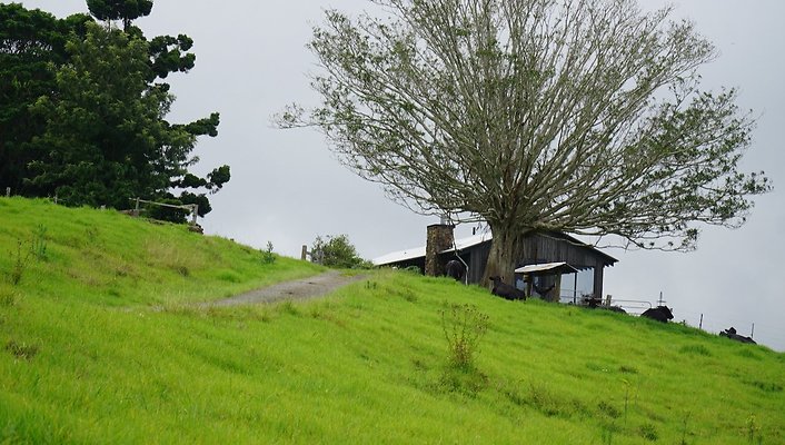Seaview Retreat32