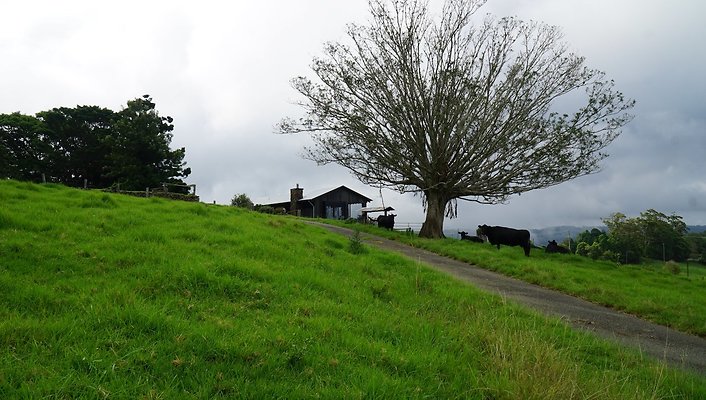 Seaview Retreat81