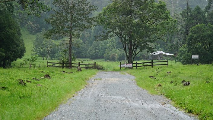 Mt Cougal Rd36