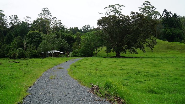 Mt Cougal Rd43