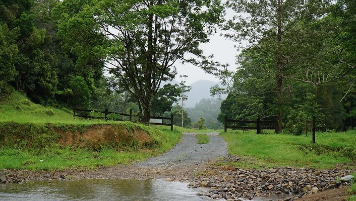 Mt Cougal Rd41