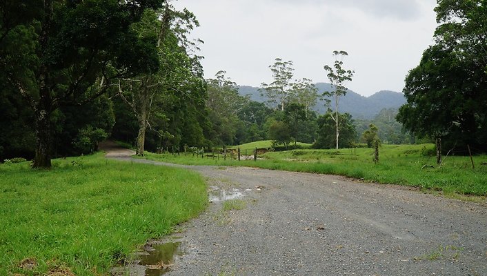 Mt Cougal Rd34