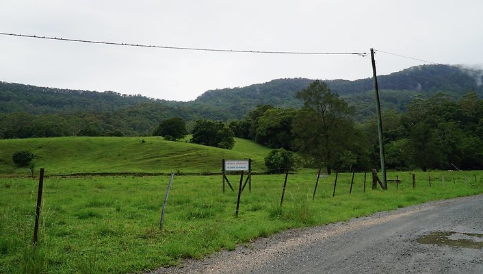Mt Cougal Rd58