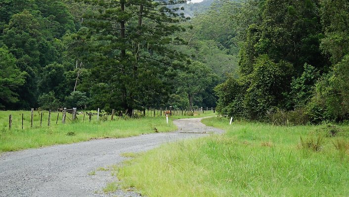 Mt Cougal Rd57