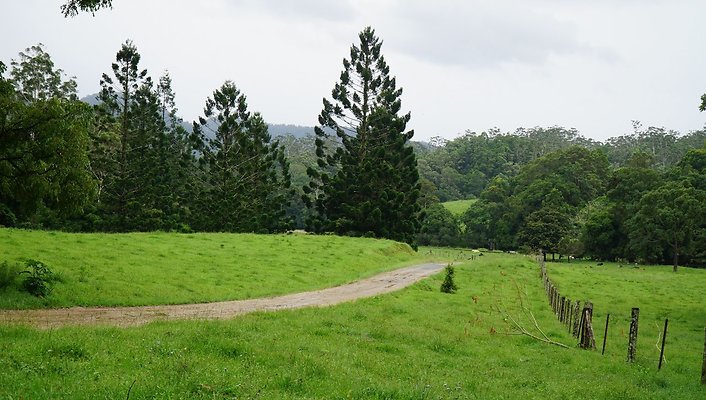 Mt Cougal Rd30