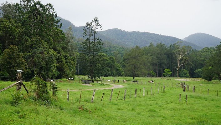 Mt Cougal Rd7