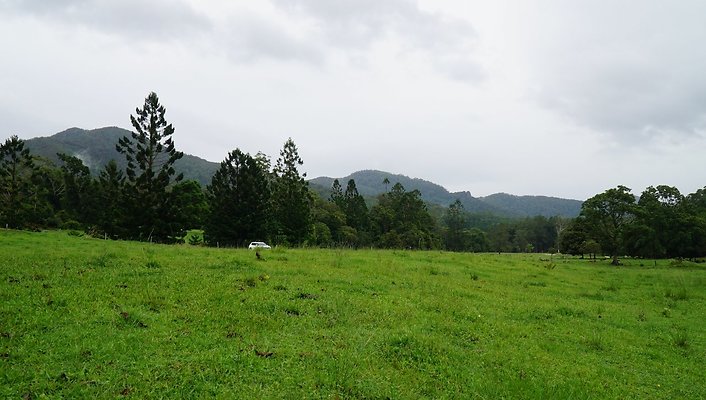 Mt Cougal Rd4