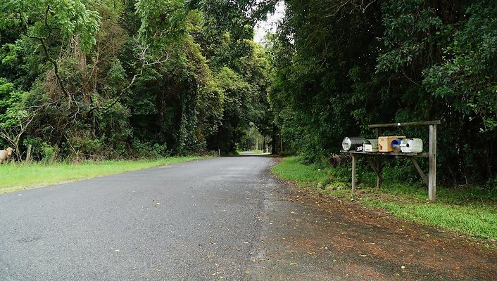 Mt Cougal Rd63