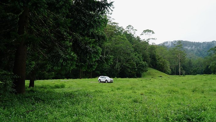 Mt Cougal Rd53