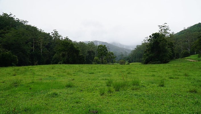 Mount Cougal Rd, Tallebudgera Valley