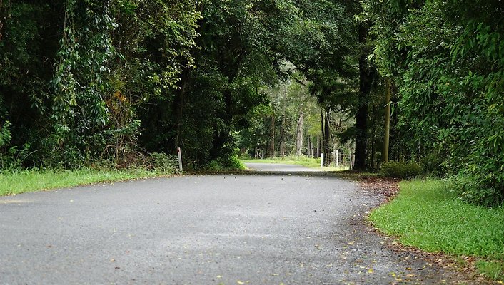 Mt Cougal Rd64