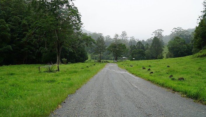 Mt Cougal Rd35