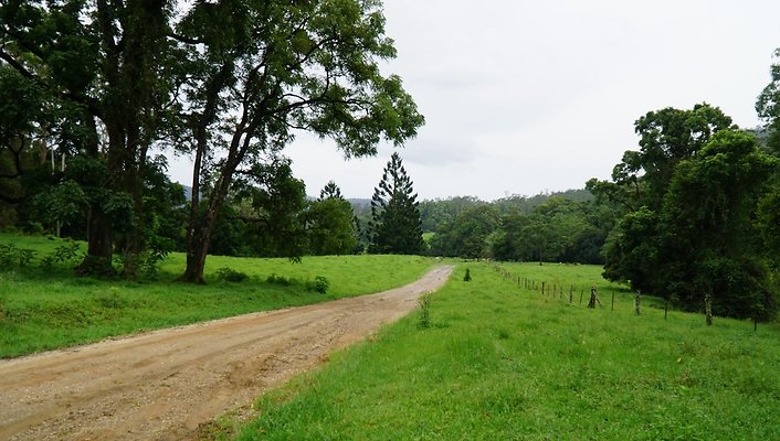 Mt Cougal Rd29