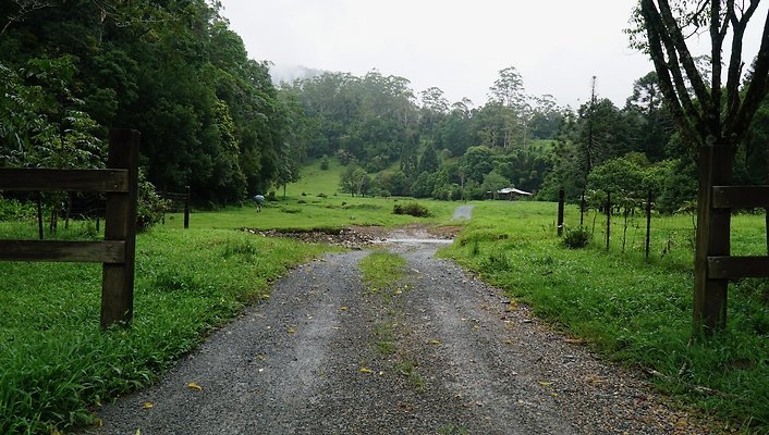 Mt Cougal Rd37