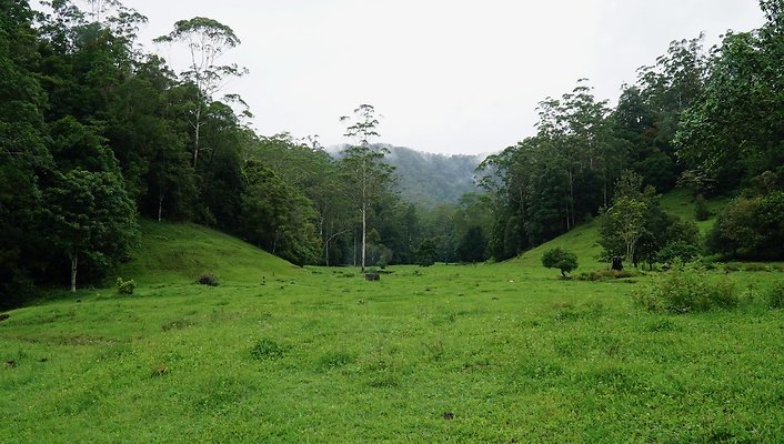 Mt Cougal Rd44