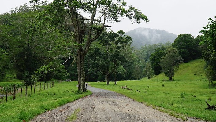 Mt Cougal Rd31