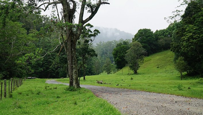 Mt Cougal Rd33