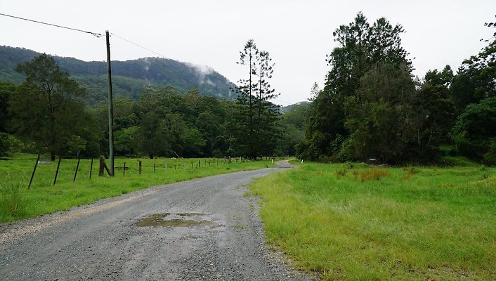 Mt Cougal Rd56