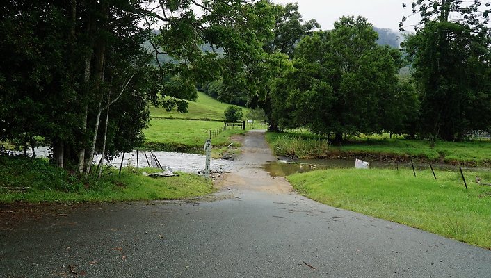 Mt Cougal Rd65