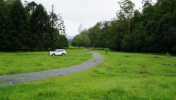 Mt Cougal Rd45