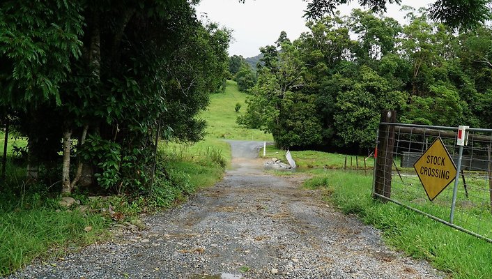 Mt Cougal Rd59