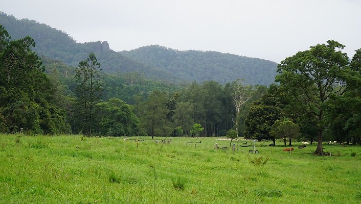 Mt Cougal Rd6