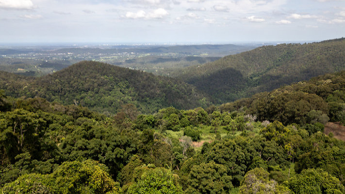 MT TAMBORINE PRIVATE OVERLOOK DRONE-2