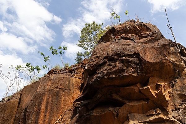 MT TAMBORINE PRIVATE OVERLOOK-4