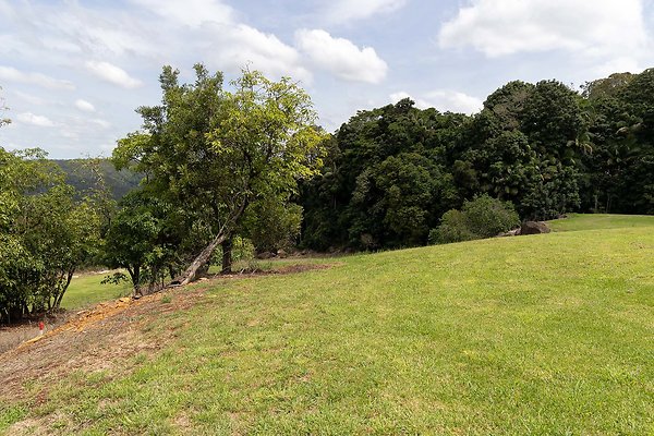 MT TAMBORINE PRIVATE OVERLOOK-15