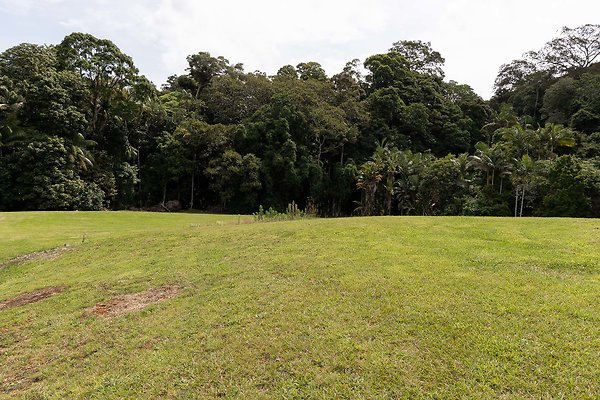 MT TAMBORINE PRIVATE OVERLOOK-18