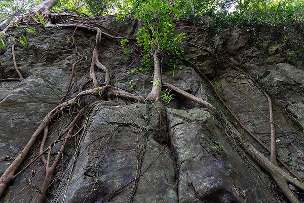THE GORGE MT. TAMBORINE-20