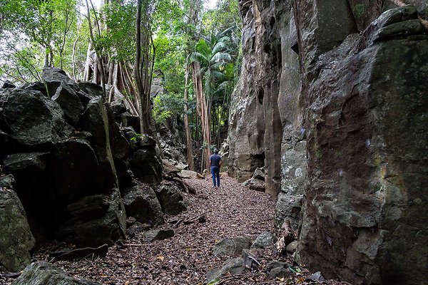 THE GORGE MT. TAMBORINE-9