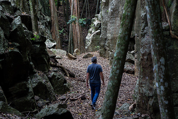 THE GORGE MT. TAMBORINE-8