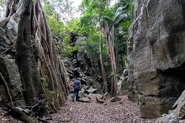 THE GORGE MT. TAMBORINE-10