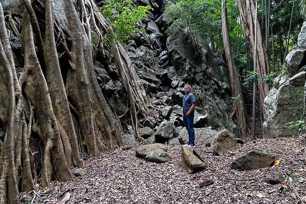 THE GORGE MT. TAMBORINE-12