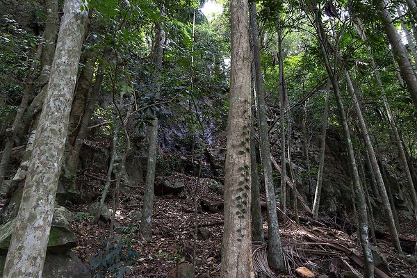 THE GORGE MT. TAMBORINE-2