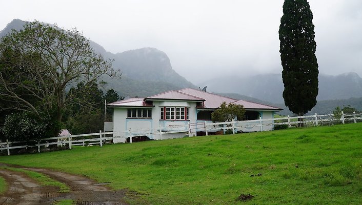 Steinhardt Rd40