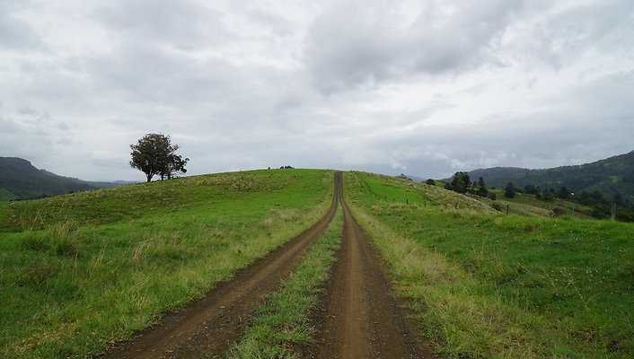 Steinhardt Rd26