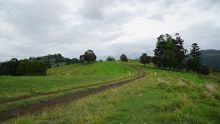 Steinhardt Rd17